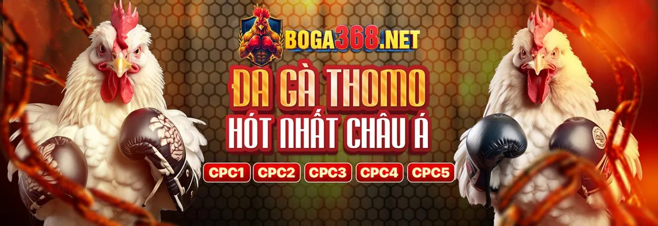 Đá Gà Trực Tuyến Sodo6789 Link Mới Nhất